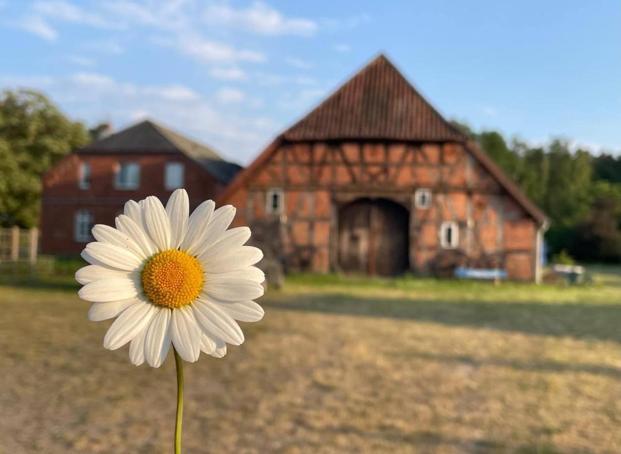 Ferienwohnung Elbsegler Bleckede Exterior foto