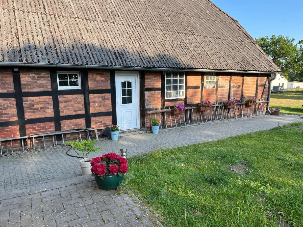 Ferienwohnung Elbsegler Bleckede Exterior foto